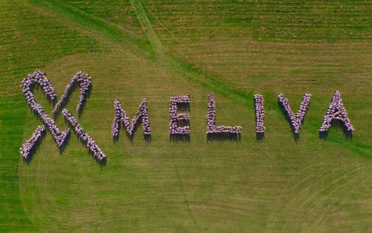 The Meliva clinic network currently employs 3,600 professionals, including family physicians, medica...
