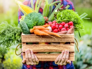 Kokie simptomai atsiranda, kai organizmui trūkstant vitaminų bei mikroelementų?