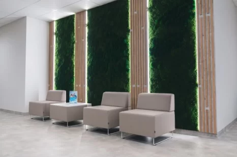 Klinikos laukiamasis su sėdimomis vietomis ir dekoratyvine augalų siena